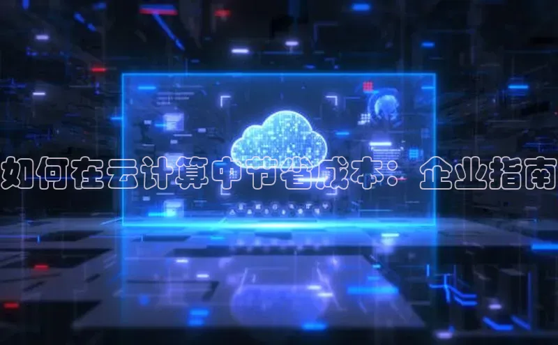 加拿大28圈合法吗赛富乐斯如何在云计算中节省成本：企业指南