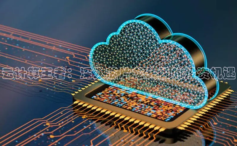 加拿大28圈.ccm挪威主权基金云计算王者：深入芯片龙头股的投资机遇