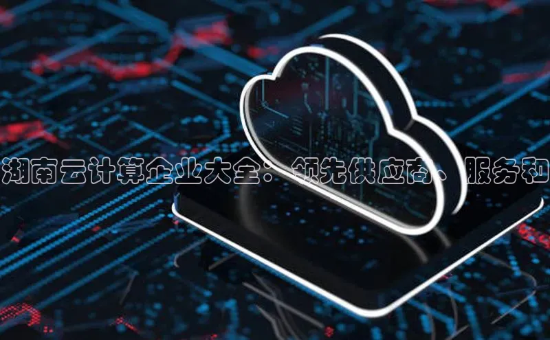 28圈电子游戏中海达湖南云计算企业大全：领先供应商、服务和