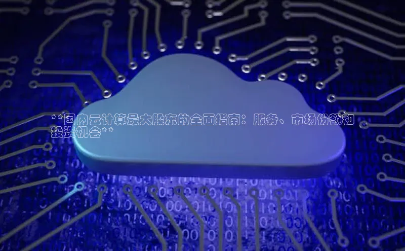 28圈注册网站百度集团**国内云计算最大股东的全面指南：服务、市场份额和
投资机会**