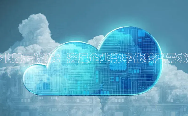 能玩加拿大28的网址江铃新能源北森云计算：满足企业数字化转型需求
