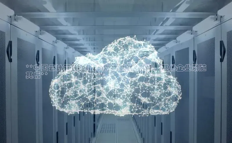 加拿大28预测开奖官网咪牌百度信誉**中国云计算企业排行榜：阿里云领跑，其他企业紧随
其后**