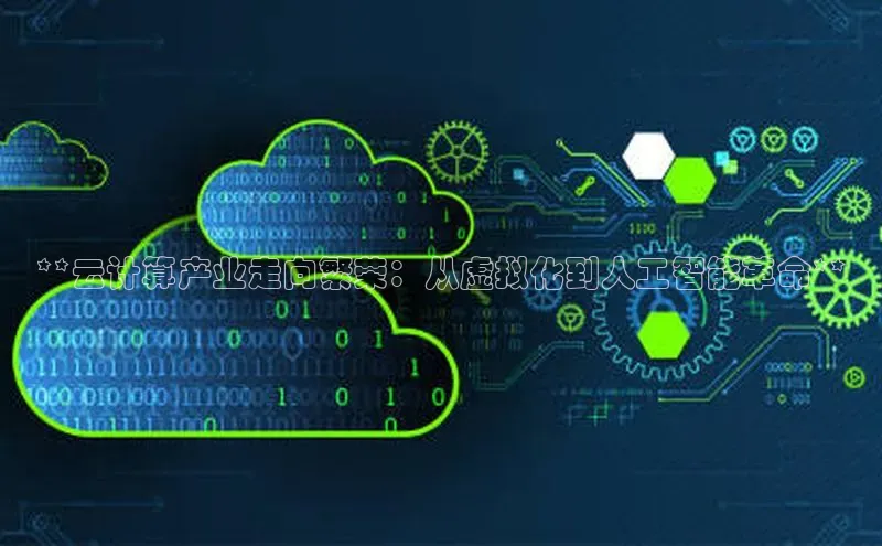 28电子游戏官方网站小度商城**云计算产业走向繁荣：从虚拟化到人工智能革命**