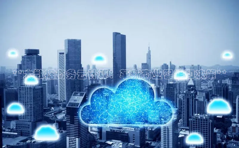 加拿大28圈app官网开奖结果百度网盘**大数据商务云计算：革新商业智能和决策**