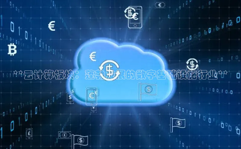 加拿大28圈曹操预测度小满支付**云计算板块：蓬勃发展的数字基础设施行业**