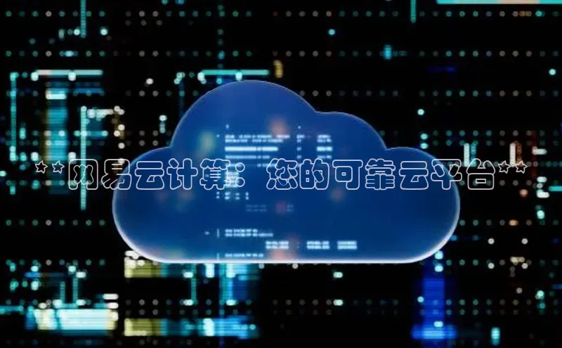 28圈平台链接中文在线**网易云计算：您的可靠云平台**