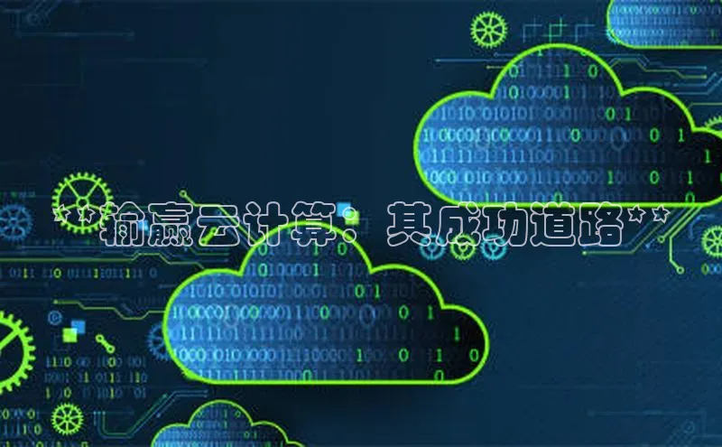 28圈平台链接观星盘**输赢云计算：其成功道路**