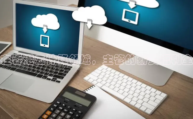 加拿大28开奖结果预测官网阿里尔公司在香港云计算领域，主管的薪资福利全